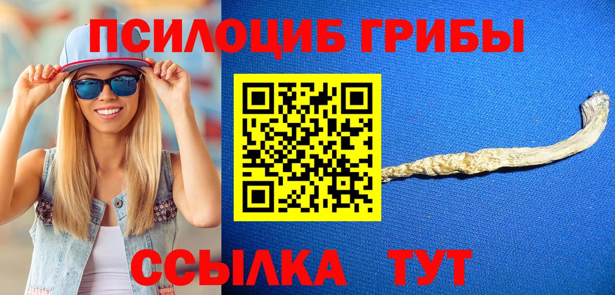 Псилоцибиновые грибы ЛСД  хочу   Волжск  Вход с VPN  Псилоцибиновые грибы мицелий 